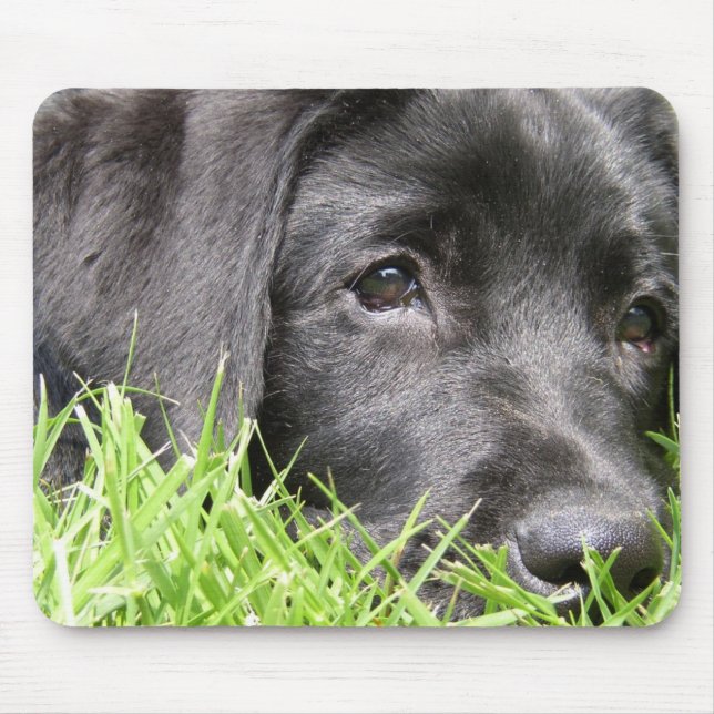 Black Lab Daydreamer Mouse Pad (Front)