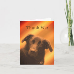 Black Lab Dog Face Thank You Card