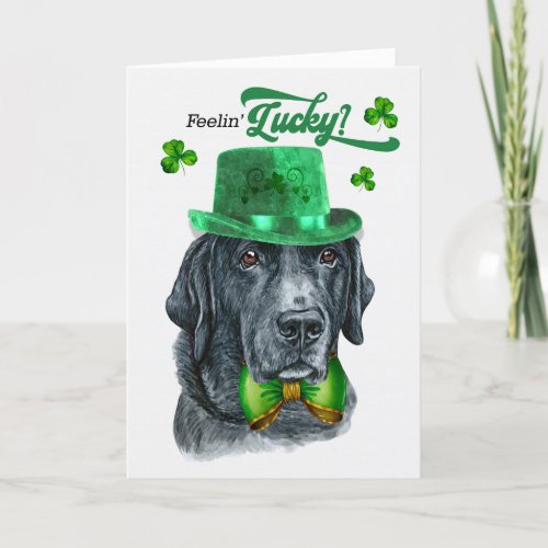 Black Lab Dog Feelin Lucky St Patricks Day Holiday Card