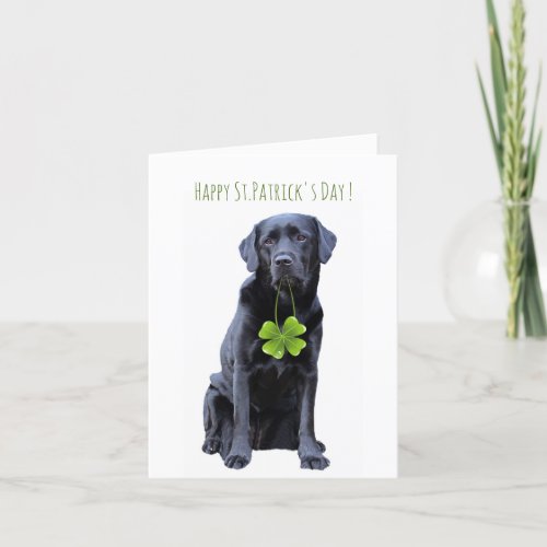 Black Lab Dog Four Leaf Clover StPatricks Day Holiday Card