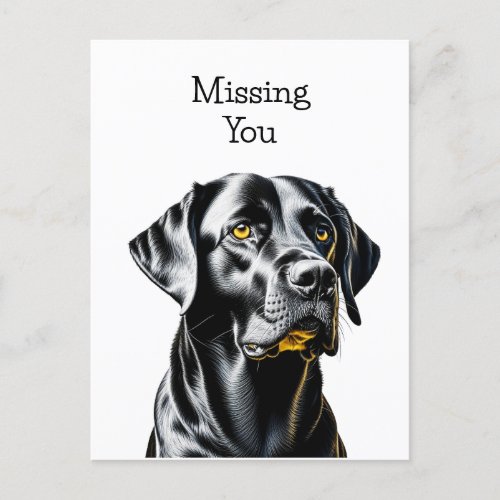 Black Lab Dog Lovers  Missing You Postcard
