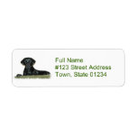 Black Lab Dog Return Address Label