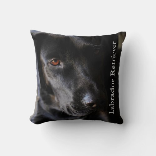 Black Lab Dog Throw Pillow