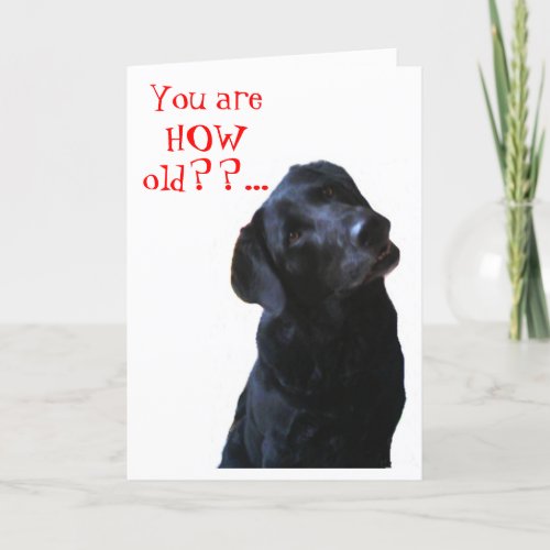 Black Lab Dog Tipping Head Wishing Happy Birthday Card