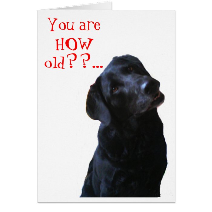 Black Lab Dog Tipping Head Wishing Happy Birthday Greeting Card
