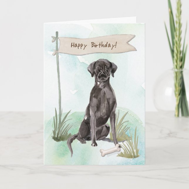 Black Lab Dog Under Birthday Sign Card (Front)