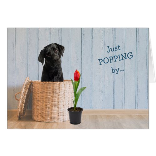 Black Lab Dog Wicker Basket Birthday Card