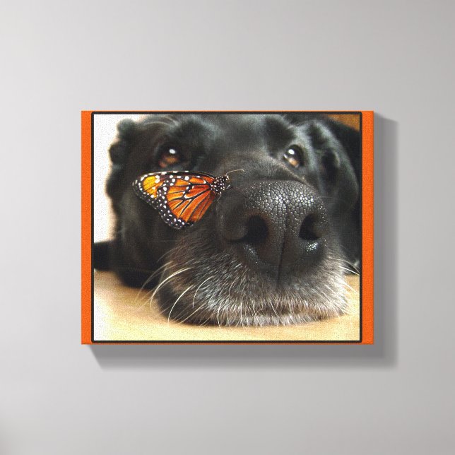 BLack Lab Dog With Butterfly Canvas Print (Front)