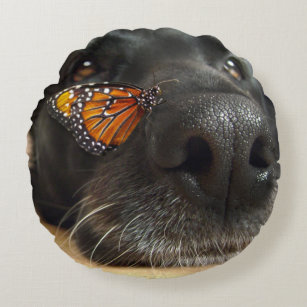 BLack Lab Dog With Butterfly Round Pillow