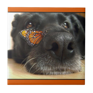 BLack Lab Dog With Butterfly Tile