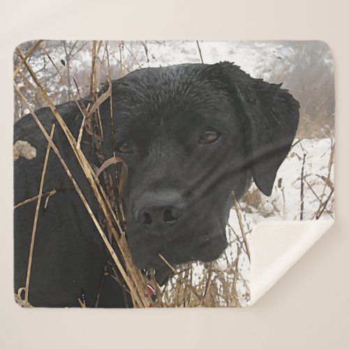 Black Lab _ Duck Dog _ Black Labrador Retriever Sherpa Blanket