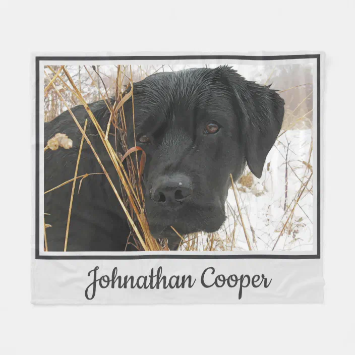 Labrador fleece blanket Clearance