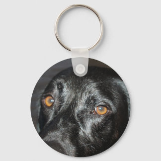 black lab eyes keychain