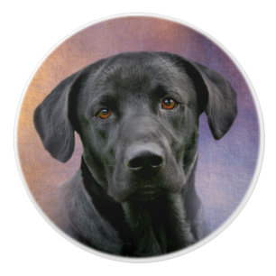 Black lab face ceramic knob