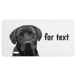 Labrador Retriever License Plates | Zazzle