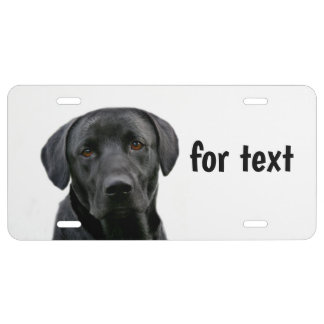 Black lab face license plate