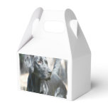 Black Lab Favor Boxes