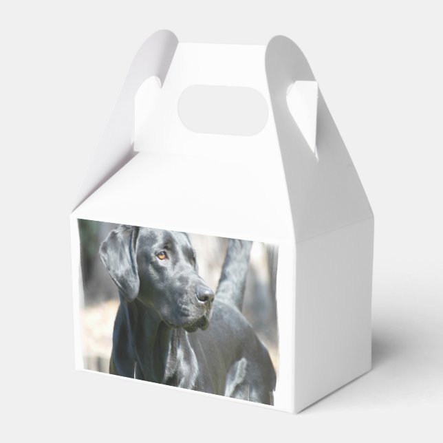 Black Lab Favor Boxes (Front Side)
