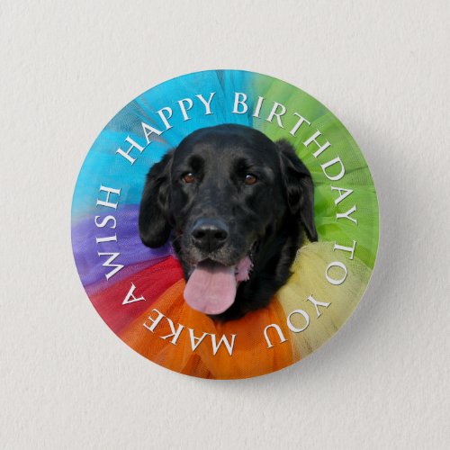 Black Lab Happy Birthday Button