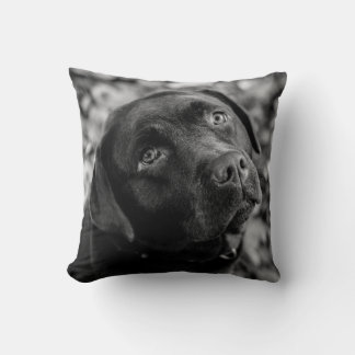 Black Lab - Heart of a Dog Throw Pillow