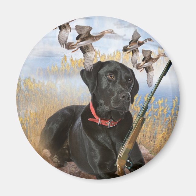 Black Lab hunts magnet (Front)