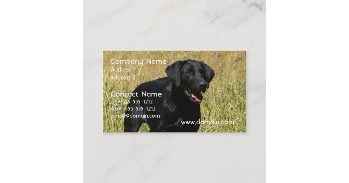 Black Lab in Field Business Cards Zazzle
