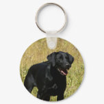 Black Lab in Field Keychain