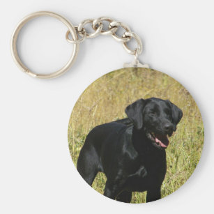 Keychain Key Chain Dog Labrador Retrievers Puppy Puppies 