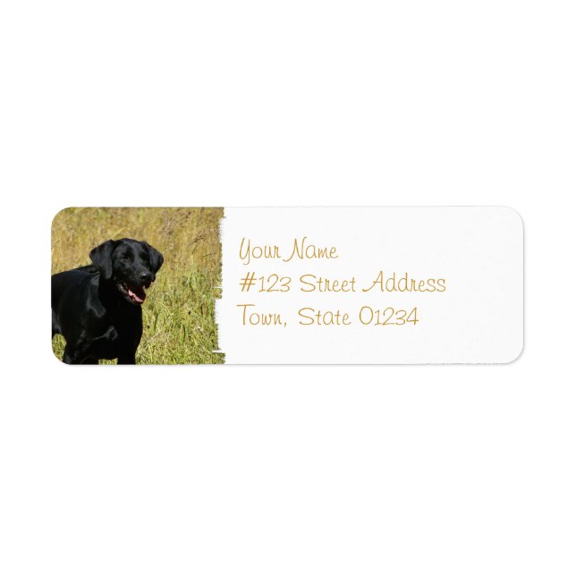 Black Lab in Field Mailing Labels (Front)