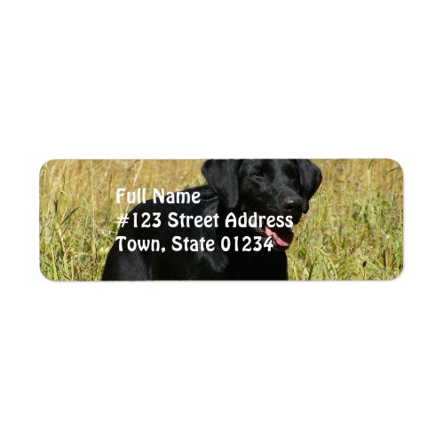 Black Lab in Field Mailing Labels