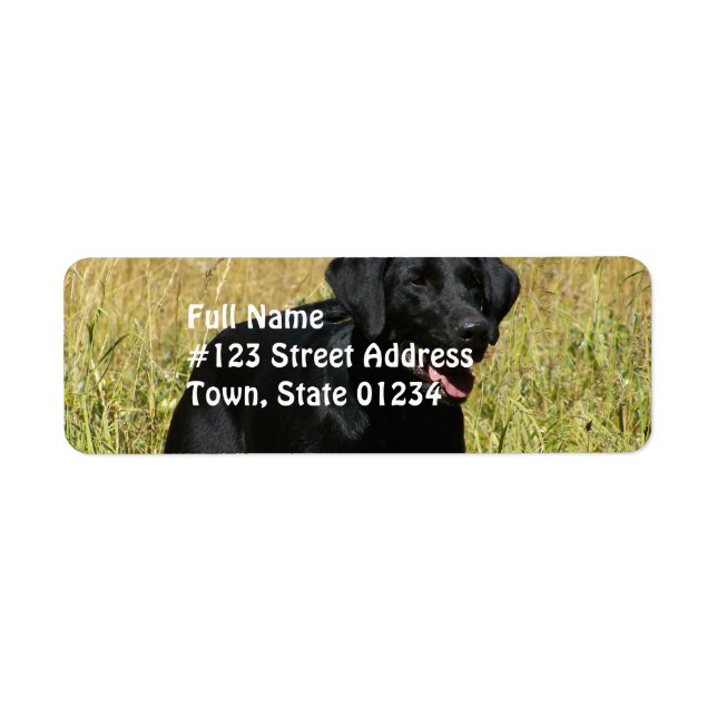 Black Lab in Field Mailing Labels (Front)
