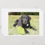Black Lab in Grass (Front/Back)