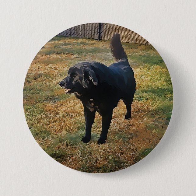 Black Lab In The Fall Sun Button (Front)