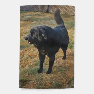 Black Lab In The Fall Sun Garden Flag