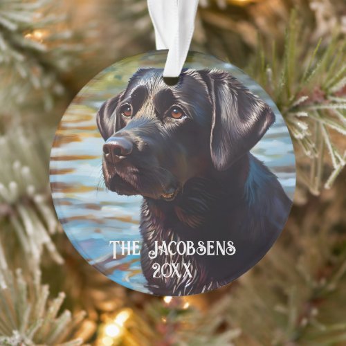 Black Lab In Water Ornament