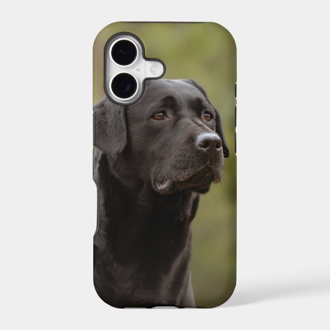 Black lab iphone case (Back)