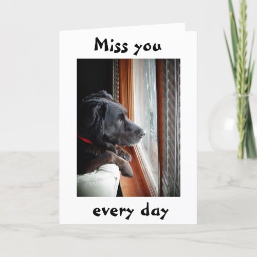 BLACK LAB IS SADBLUE FOR HE MISSES YOU CARD