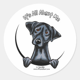 Black Lab Its All About Me Classic Round Sticker