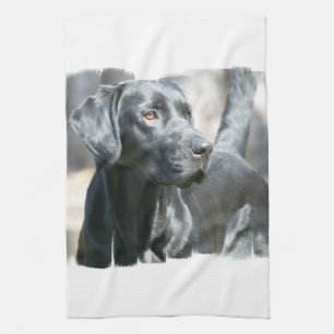 Black Lab Kitchen Towel