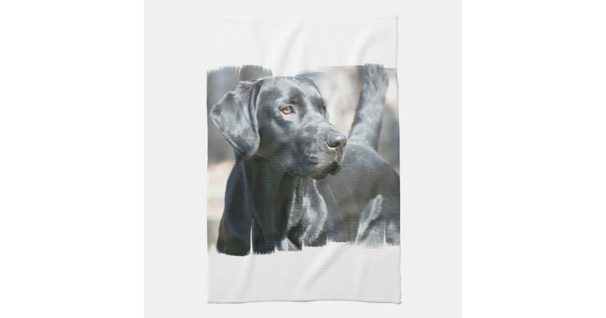 Black Lab Kitchen Towel Zazzle