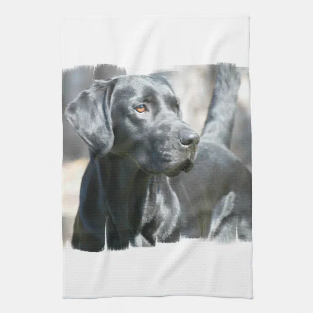 Black Lab Kitchen Towel Zazzle