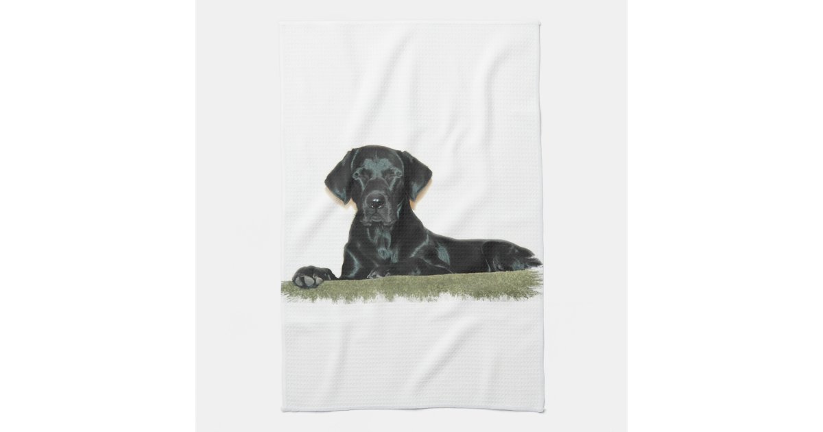 Black Lab Kitchen Towel Zazzle