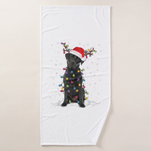 thumbnail image 2 of Dinosaur Christmas Shirt Fa Ra Rawr Tree Rex Xmas Gift T-Shirt 2 of 12