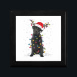 Black Lab Labrador Christmas Tree Light Pajama Dog Gift Box<br><div class="desc">Black Lab Labrador Christmas Tree Light Pajama Dog</div>