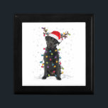 Black Lab Labrador Christmas Tree Light Pajama Dog Gift Box<br><div class="desc">Black Lab Labrador Christmas Tree Light Pajama Dog</div>