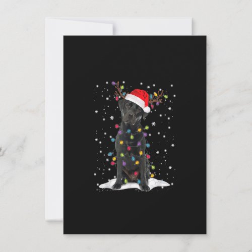Black Lab Labrador Christmas Tree Light Pajama Dog Invitation