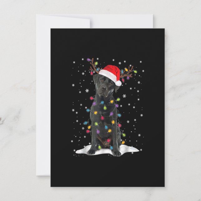 Black Lab Labrador Christmas Tree Light Pajama Dog Invitation (Front)