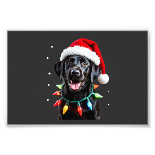 Black Lab Labrador Christmas Tree Light Pajama Dog Photo Print