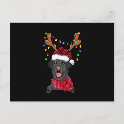 Black Lab Labrador Christmas Tree Light Pajama Dog Postcard