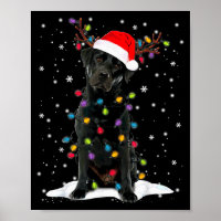 Black Lab Labrador Christmas Tree Light Pajama Dog
